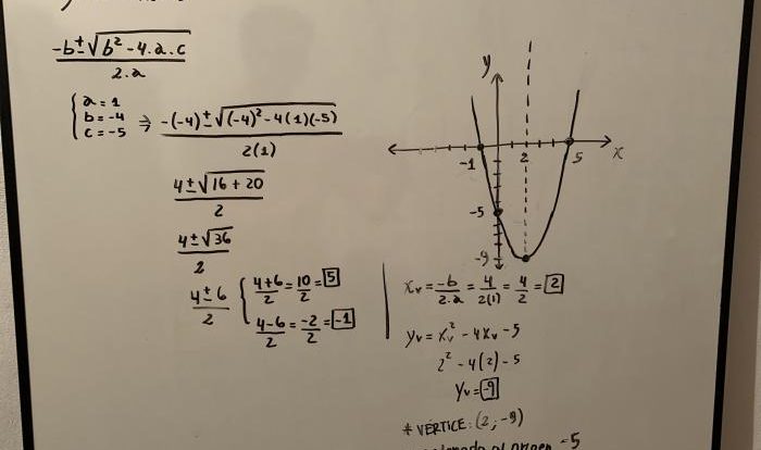 Choose the graph of y x2 4x 5