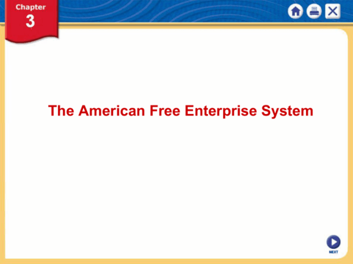 Guided reading activity the american free enterprise system