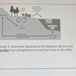 Choose 2 reservoirs depicted in the diagram above