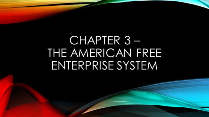 Guided reading activity the american free enterprise system